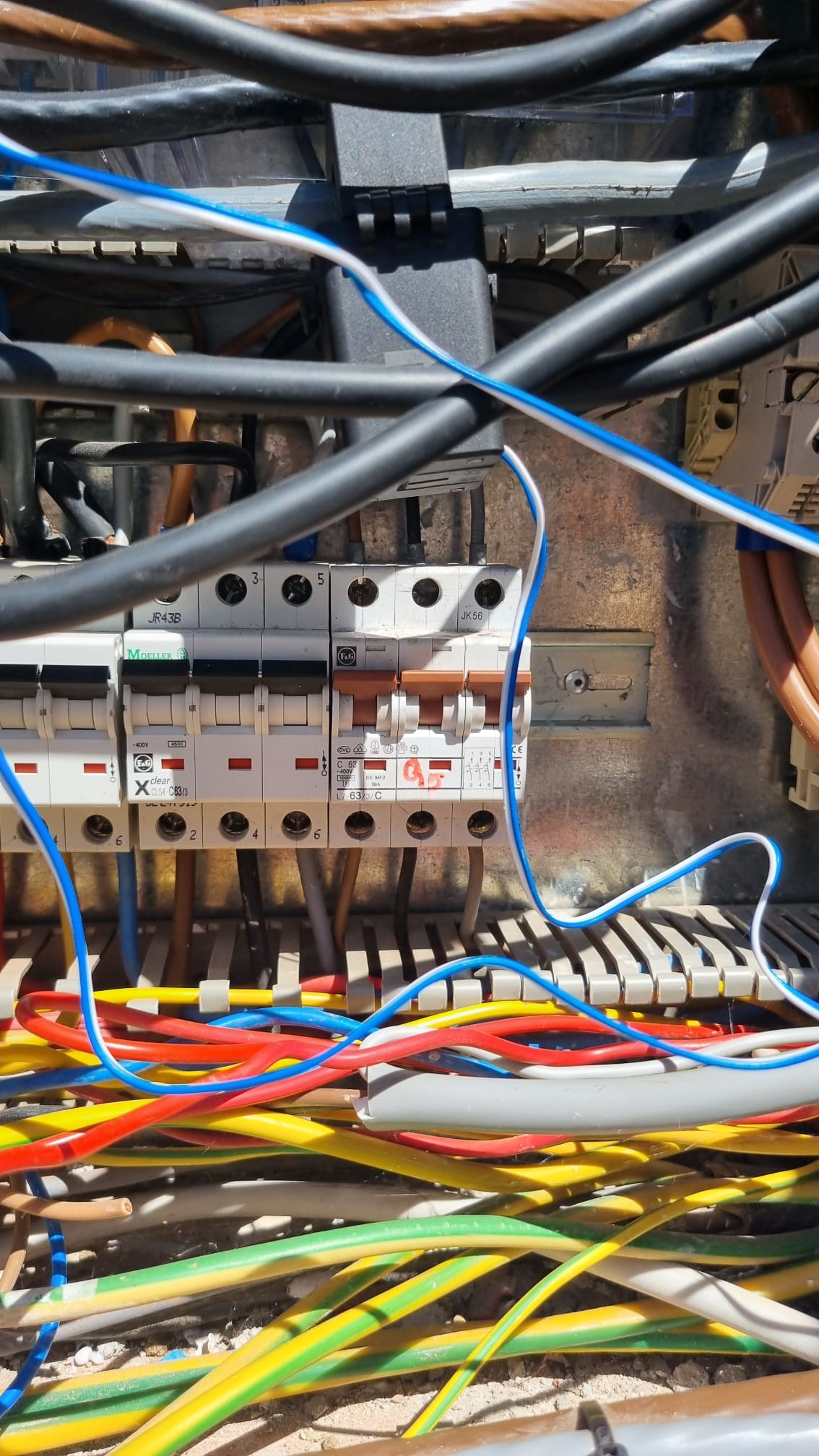 Image 3